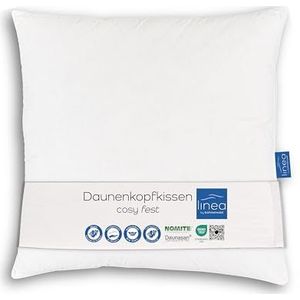 Böhmerwald Comfortabel kussen met 85% veren en 15% dons. Gewicht vulling: 1150 g steuncomfort 80 x 80 cm wit