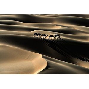 Panoramische poster CARAVANE 4 x 2,70 m | XXL HD-kwaliteit wanddecoratie Scenolia