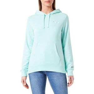 Champion Legacy Icons W - Spring Terry Small Script Logo Sweatshirt met capuchon voor dames, Pastel Blauw