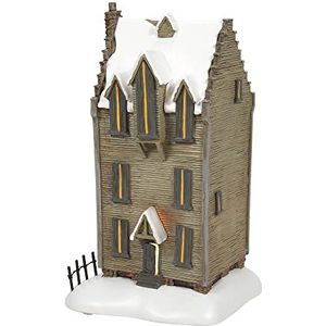 Harry Potter Village By D56 Figurine Shrieking Shrieking Shack