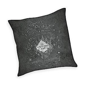 Herding Harry Potter sierkussen, 40 x 40 cm, polyester