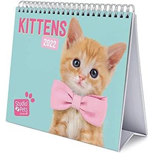 Grupo Erik - Bureaukalender 2022 Studio Pets katten – 12 maanden | van januari tot december 2022 | 20 x 18 x 6,5 cm, 6 talen, FSC-gecertificeerd
