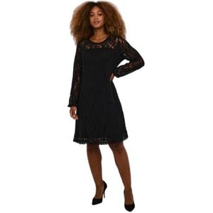 Cream Women's Dress Lace Round Neck Long Sleeves Fit and Flare Above Knee Length Femme, Pitch Black, XL