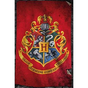 Harry Potter poster Hogwarts vlag 61 x 91,5 cm