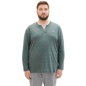TOM TAILOR T-shirt à manches longues pour homme, 32448 - Green Dust Stripy Inject, 3XL grande taille