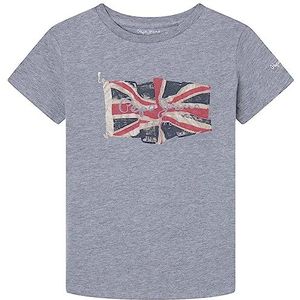 Pepe Jeans Vlag Logo Jr S/S N T-shirt voor kinderen, grijs (Grey Marl), 12 jaar, Grijs (Grijs Marl)