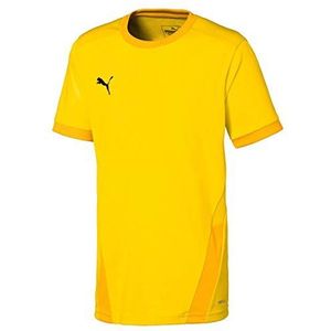 PUMA Unisex Kinder, teamGOAL 23 Jersey jr Trikot, Cyber Yellow-Spectra Yellow, 140