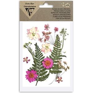 Clairefontaine 195591C – zak met 12 gedroogde bloemen – echte bloemen – doe-het-zelfkunst – scrapbooking, knutselen, creatieve kaarten – decoratie, creatieve hobbys, roze