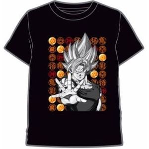 Toei Animation T-shirt Goku Dragon Ball Z voor volwassenen, meerkleurig, Eén maat, Meerkleurig