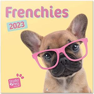 Grupo Erik Studio Pets Wandkalender 2023, Franse buldog, 3,5 x 3,6 m, FSC| planner 12 maanden | vierkante wandkalender 2023 | familiekalender 2023 | hondenkalender 2023 | + 4 maanden