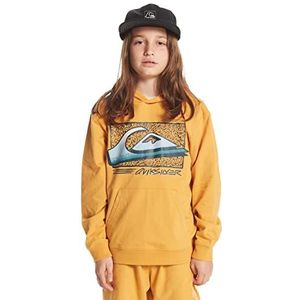 Quiksilver jongens retro hoodie