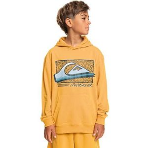 Quiksilver jongens retro hoodie