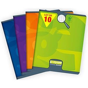 Calligraphe 108715C Een set met 10 schriften (een merk van Clairefontaine) – 17 x 22 cm – 60 pagina's grote ruiten – wit papier 90 g – envelop voor offsetkaart, willekeurige kleuren