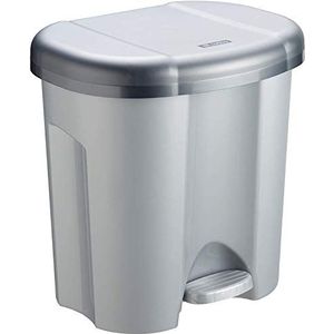 Rotho Duo afvalemmer 2 x 10 l, voor afvalscheiding met deksel en pedaal, kunststof (PP), BPA-vrij, zilver, 2 x 10 l (39,0 x 32,0 x 40,5 cm)