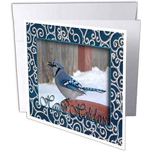 3dRose gc_15225_2 wenskaarten ""Blue Jay in The Winter Happy Holidays"", 15 x 15 cm, 12 stuks