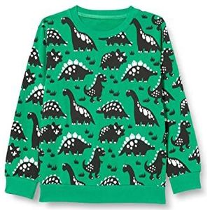 Little Hand Sweatshirt voor jongens, trainingspak voor jongens, 4 dinosaurussen