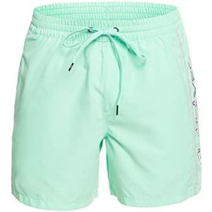 Quiksilver Everyday Green Volley 16 Zwemshorts voor heren (1 stuk)