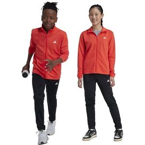 adidas Essentials Big Logo Uniseks trainingspak voor kinderen, 13-14 jaar