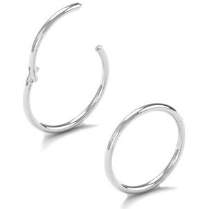 AceFun Zilveren neusring voor dames en heren, roestvrij staal, scharnier, gesegmenteerde neusringen voor helix, kraakbeen, daith, tragus, Roestvrij staal