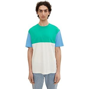TOM TAILOR Denim 1035587 Uomini T-shirt (1 stuk), 12906 - Wool White