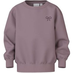 Name it mini Nmfvallene Ls RLX Sweat Bru, Framboise, 110