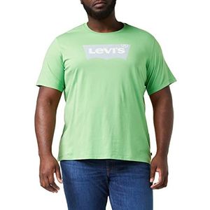 Levi's Graphic Crewneck Tee T-shirt voor heren (1 stuk), Batwing Logo Peppermint