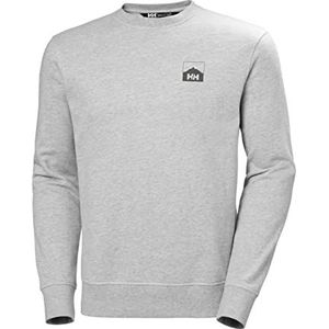 Helly Hansen Nord Graphic Crew Sweatshirt voor dames, ebbenhout grijs gemengd, XXL