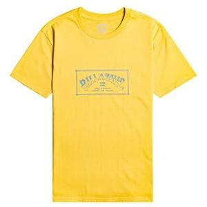 Quiksilver Arch SS T-shirt voor jongens (1 stuk)