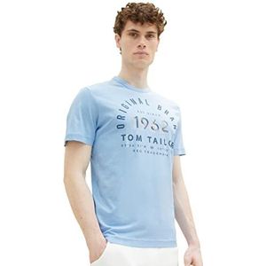 TOM TAILOR Uomini 1035549 T-shirt (1 stuk), 31358 - Blue Thin Stripe