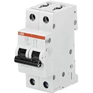 ABB Miniatuur stroomonderbreker S202-D4, 2-polig, type D, scheidingsvermogen 6/10kA, stroom 4A (2CDS252001R0041)