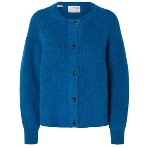 SELECTED FEMME Slflulu Ls Knit Short Cardigan B Noos Damesvest, Super Sonic/Detail: mix, M