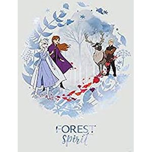 Komar Disney WB066-50x70 De ijskoningin Spirit | zonder lijst | WB066-50 x 70 cm (breedte x hoogte)