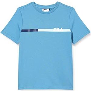 FILA Skopje Block Stripes T-shirt voor jongens, Ash blauw