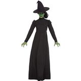Smiffys - 51061 - Boze heks Halloween kostuum voor volwassenen - maat - S - kledingmaat 36-38