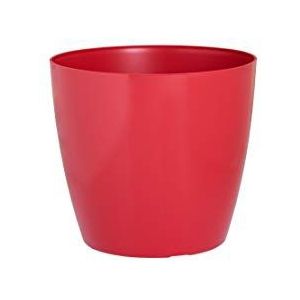 San Remo container, 36 cm, rood