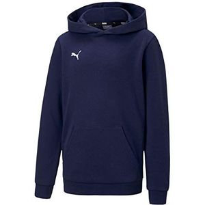 Puma Teamgoal 23 Casuals Hoody Jr Pullover voor jongens, rood, 152