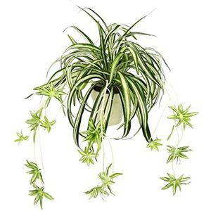 Kunstgroene lelie in een pot - kunstplant chlorophytum - kamerplant - zijden bloem - spinnenlip - hangende plant - bruiloftsdecoratie