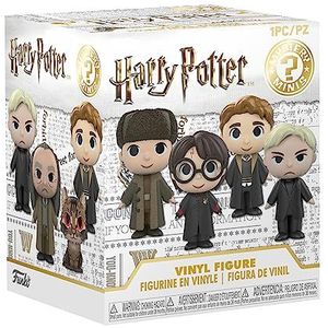 FUNKO MYSTERY MINI: Harry Potter (One Random Figures Om Te Kopen)