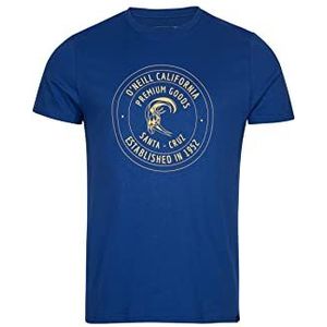 O'NEILL Tees Shortsleeve Explore T-shirt voor heren, blauw (Surf The Web Blue), XS/S