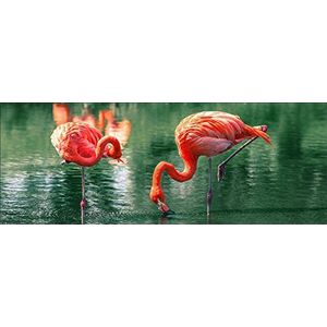 Pro-Art-Bilderpalette gla1134c Flamingo I glasafbeelding flamingo I 80 x 30 cm
