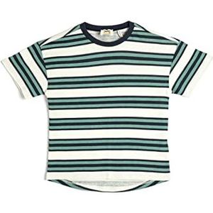 Koton T-shirt à manches courtes et col rond en coton pour garçons, Multicolore (Cmr), 4-5 ans