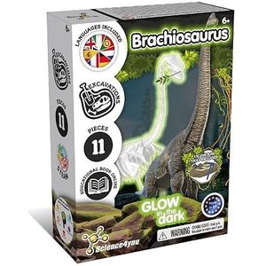 Science4you Brachiosaurus Fossil Escavation - Fossiele opgravingsset die oplicht in het donker, dinosaurusspeelgoed voor kinderen, 11-delig, spelletjes, speelgoed, cadeau voor jongens en meisjes vanaf