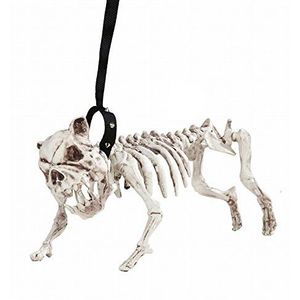 Wifmann 01373 skelet hond met riem, 45 cm