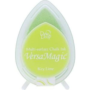 VersaMagic Dew Drop inktstempel Tsukineko inktstempel sleutel limoengroen