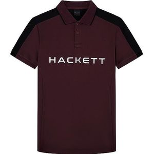 Hackett London Hs Hackett multi poloshirt heren, Rood (Maroon)