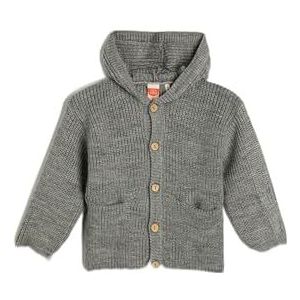 Koton Babyboy Cardigan à capuche en tricot avec bouton et poche de fermeture, Gris (031), 2-3 Jahre