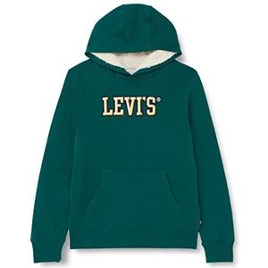 Levi's Lvb sherpa gevoerde trui hoodie voor kinderen, 2-8 jaar, groen (Forest Biome), 24 maanden, Groen (Forest Biome)