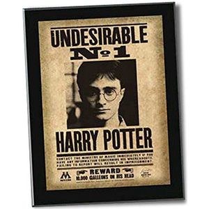 Last level - Harry Potter Undesirable Nr. 1 afbeelding, 22 x 31 x 1,7 cm, accessoires, meerkleurig