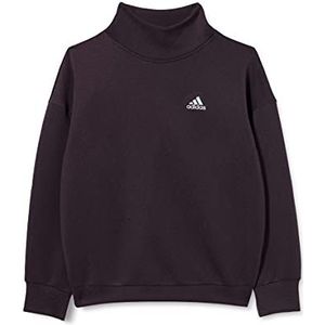 adidas G A.r. W sweatshirt voor meisjes, meerkleurig - zilver (paarnob/plamat)