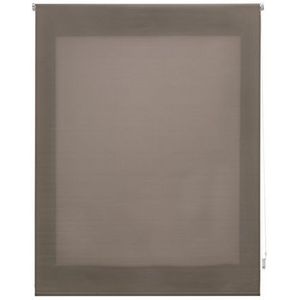 Uniestor rolgordijn, glad, transparant, 6 x 100 x 250 cm, taupe